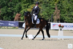 Melrose du Feuillard, Jument par Sandréo, Championne de France des 6 ans poneys lors de la Grande Semaine de Dressage à Fontainebleau en 2023.