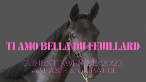 Ti Amo Bella du Feuillard, Jument KWPN de 2023 par Galaxie x Gribaldi