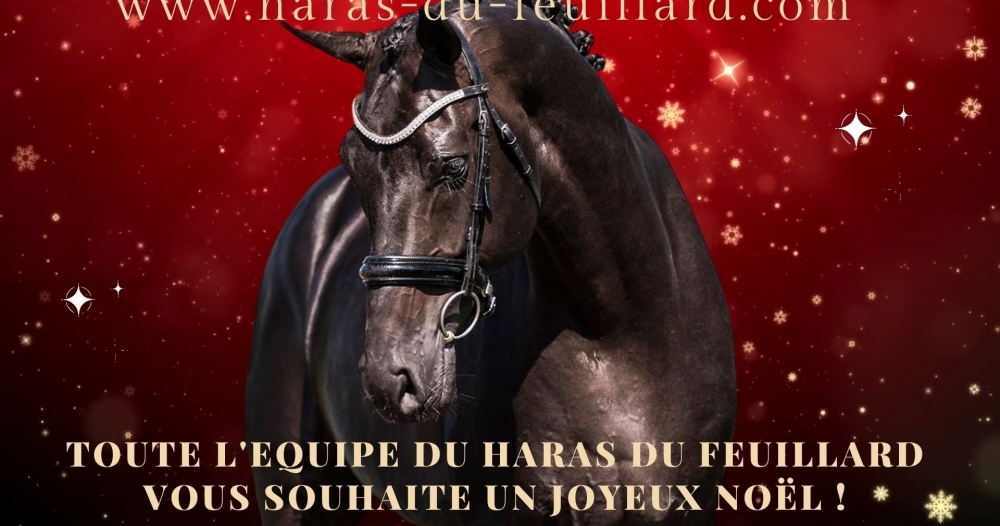 JOYEUX NOËL A TOUS ! News Haras du Feuillard