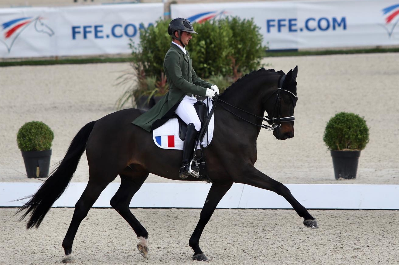 GOTILAS DU FEUILLARD, MEILLEURE PERFORMANCE !