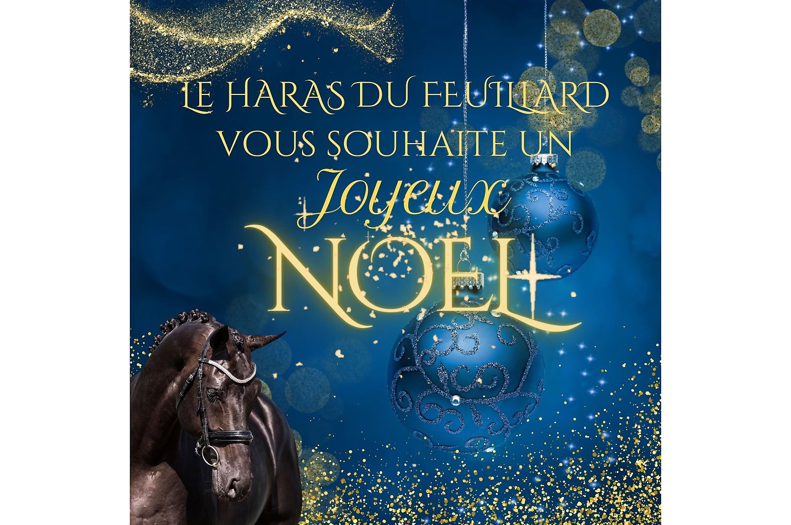 JOYEUX NOËL A TOUS !