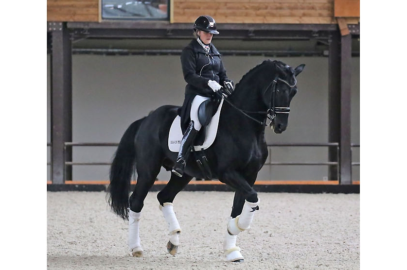 MASTER DRESSAGE 2024