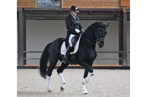 MASTER DRESSAGE 2024