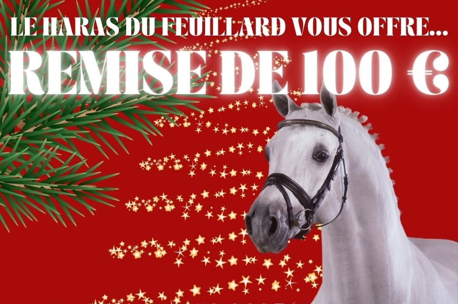 NOËL 2024