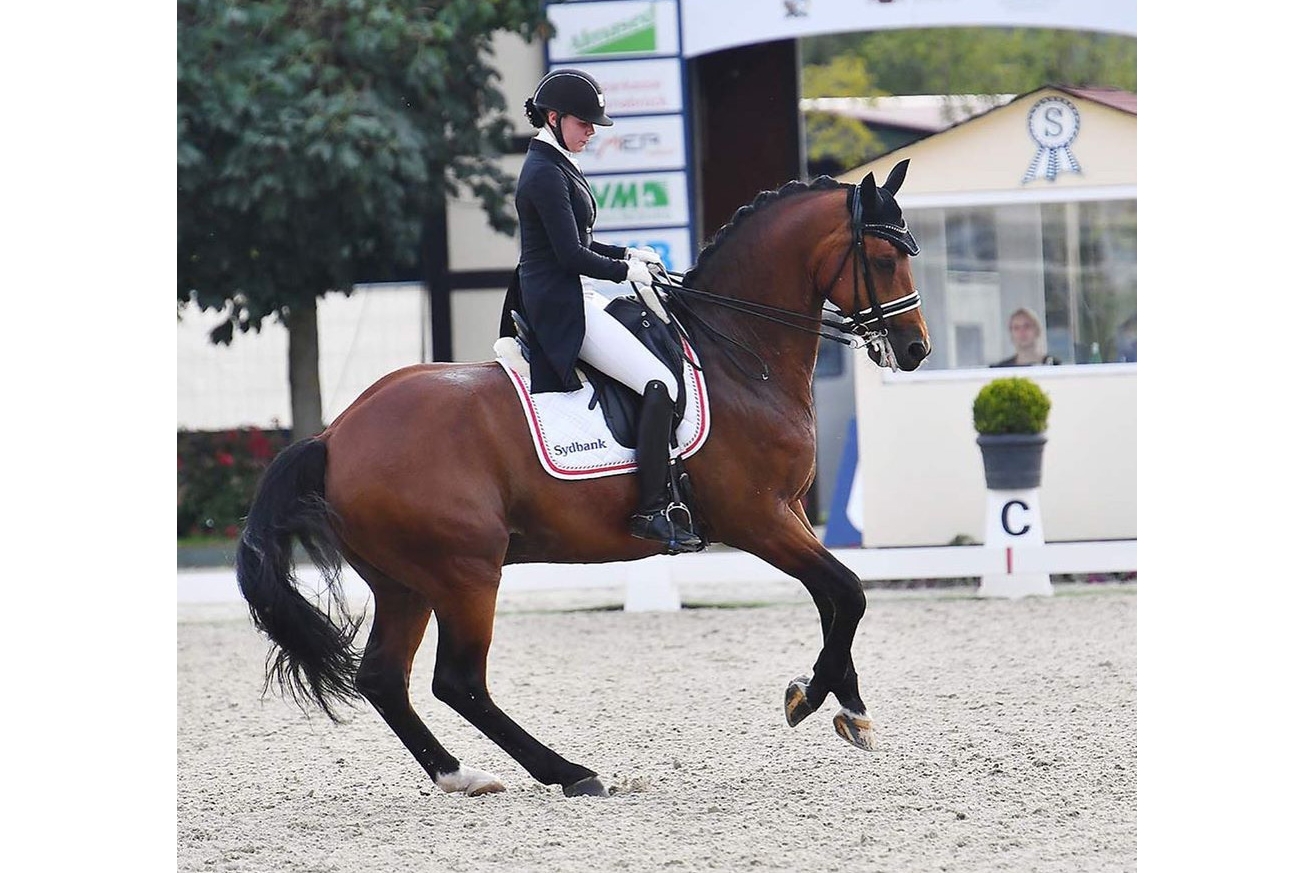 CHAMPIONNAT D'EUROPE YOUNG RIDERS : ANTANGO DU FEUILLARD à  + DE 71 %